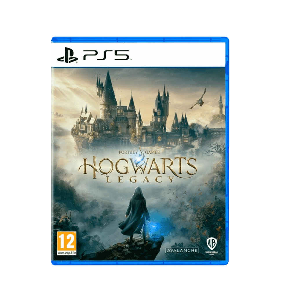Игра консольная PS5 Hogwarts Legacy, BD диск
