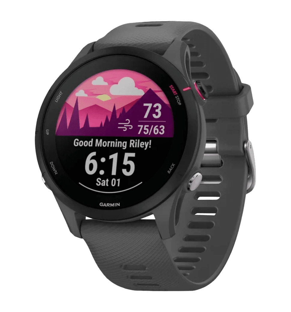 Garmin Forerunner 255 Slate Gray (010-02641-00/10/43)