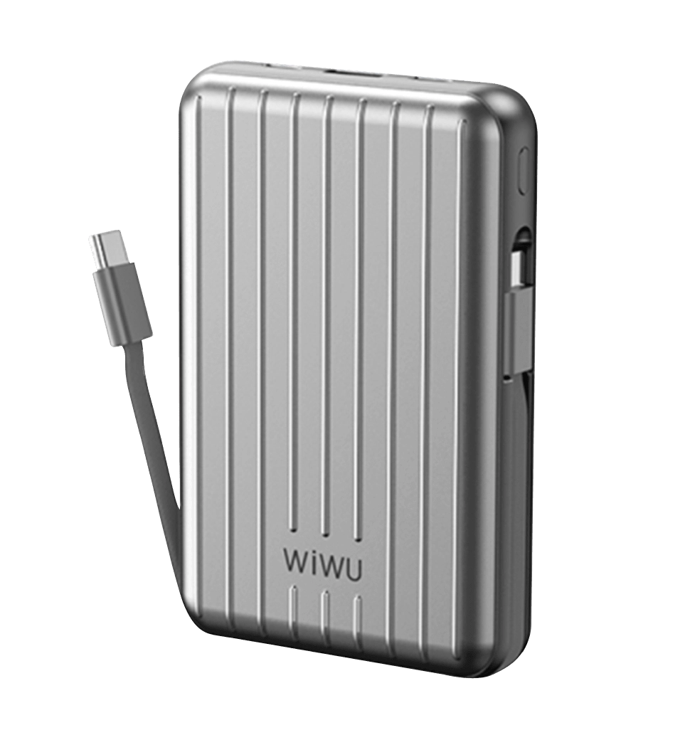 Зовнішній акумулятор Wiwu Trunk Series 10000mAh, 22,5w (PP03) Silver