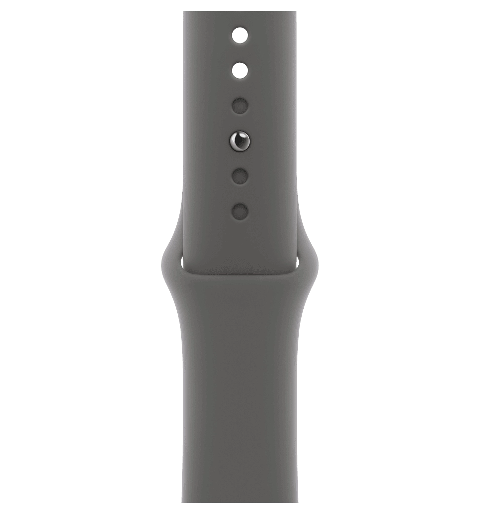 Apple Watch Series 11 GPS + Cellular 42mm Natural Titanium Case with Stone Grey Sport Band - M/L (MF8N4)