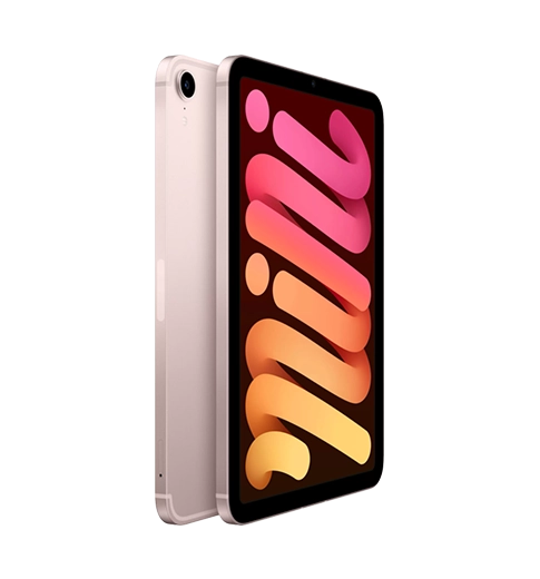 iPad mini 6 Pink 256GB Wi-Fi/LTE 2021