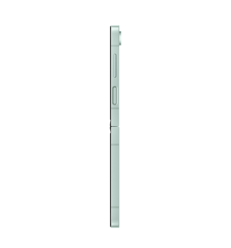 Смартфон Samsung Galaxy Flip6 256Gb Mint (SM-F741BLGGSEK)