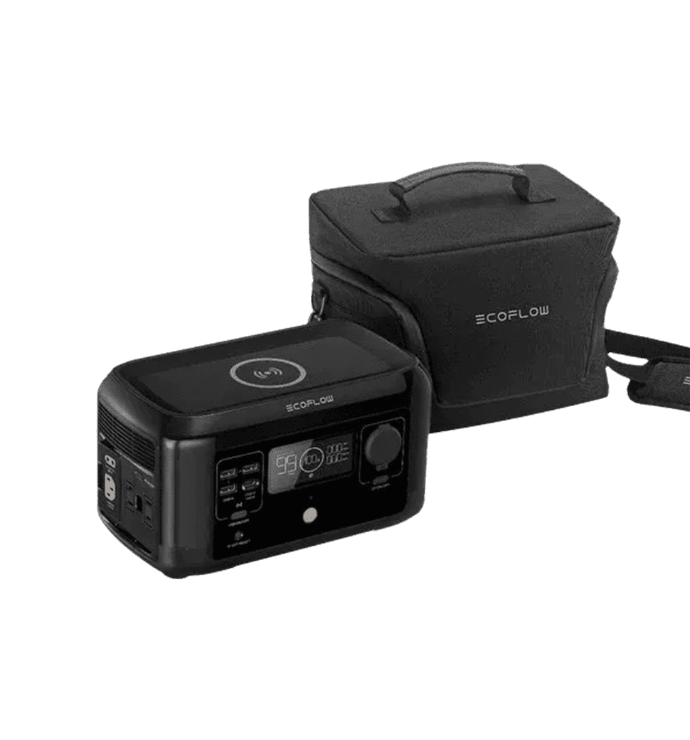 Сумка EcoFlow RIVER mini Bag (BRIVERmini)