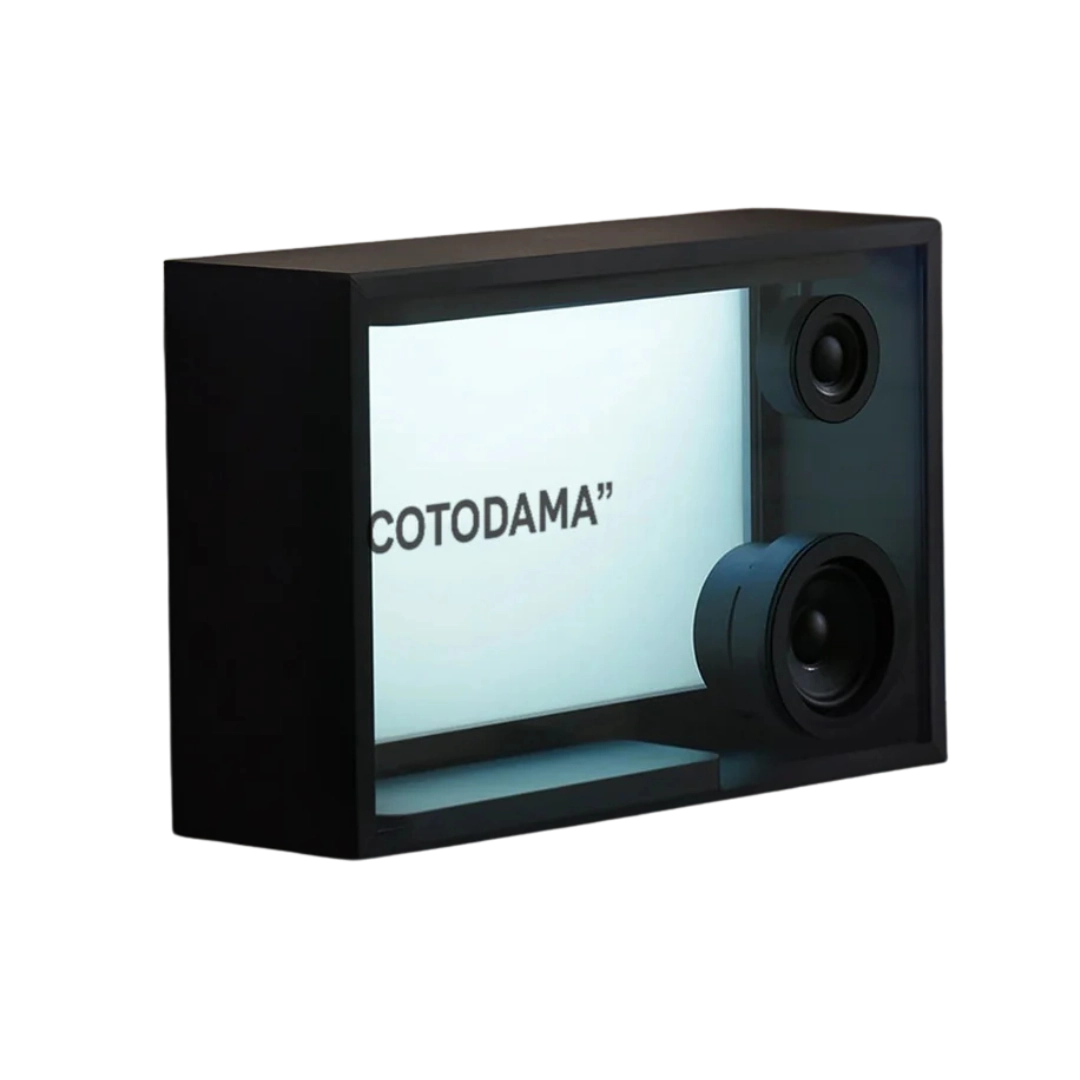 Акустическая система Cotodama Speaker Box