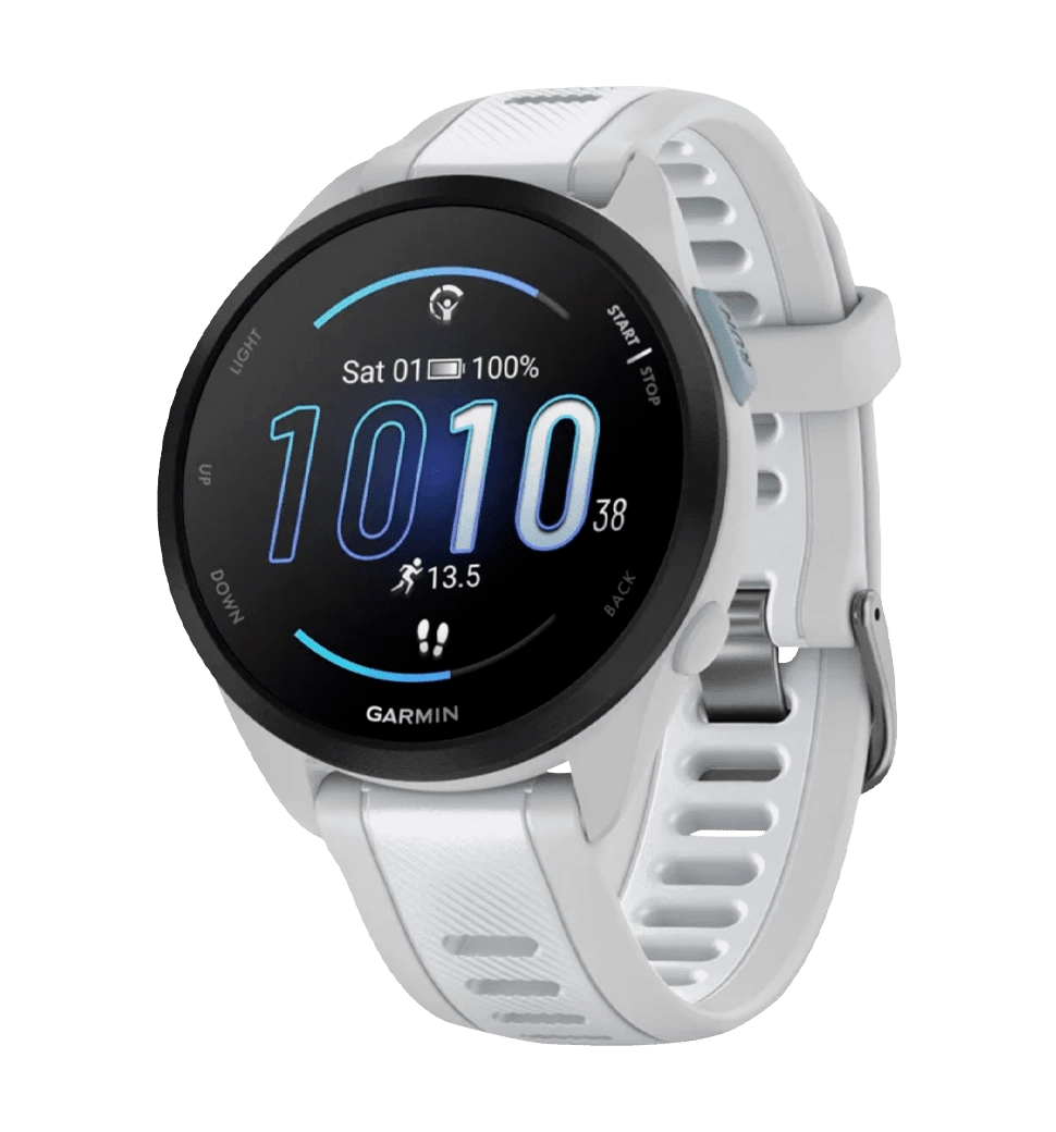 Garmin Forerunner 165 Mist Gray/Whitestone (010-02863-21)