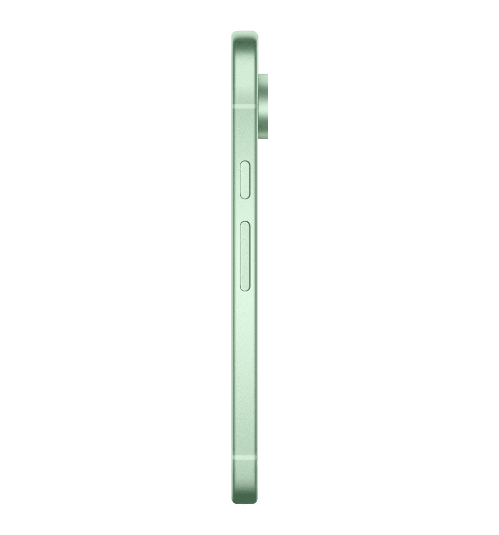 Смартфон Google Pixel 9 12/256GB Wintergreen