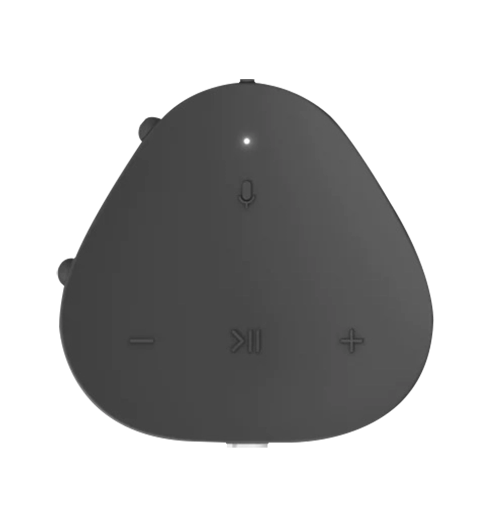Портативная акустика Sonos Roam Black (ROAM1R21BLK)
