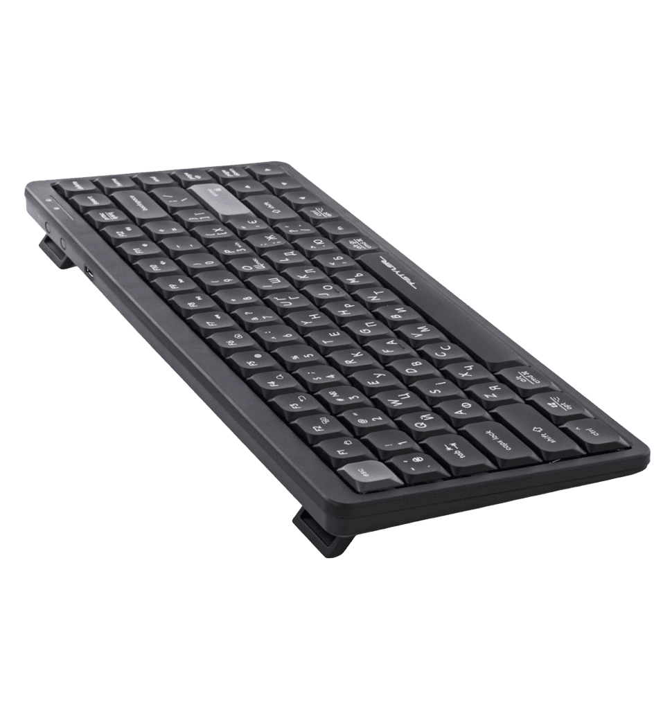Клавиатура A4-Tech Fstyler FX53 (Black), цвет черный, USB