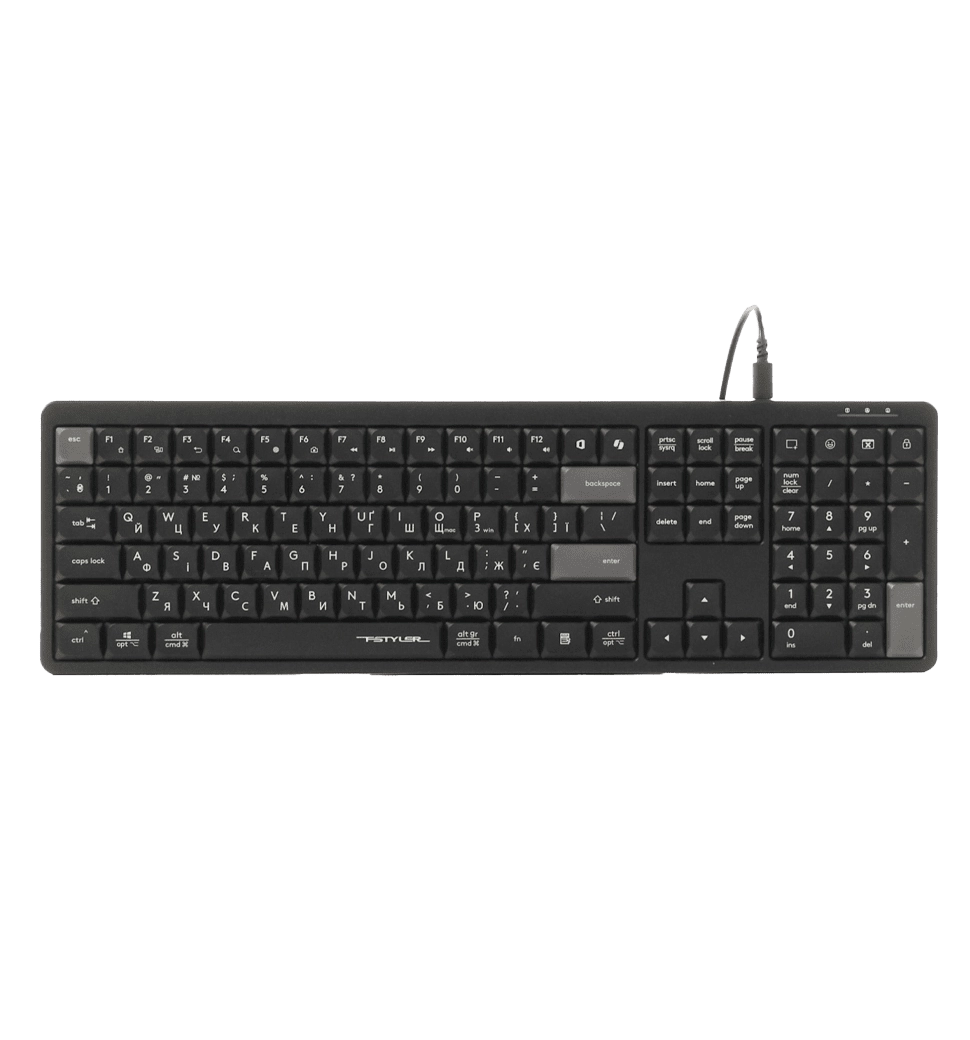 Клавиатура A4-Tech Fstyler FX55 (Black), цвет черный, USB