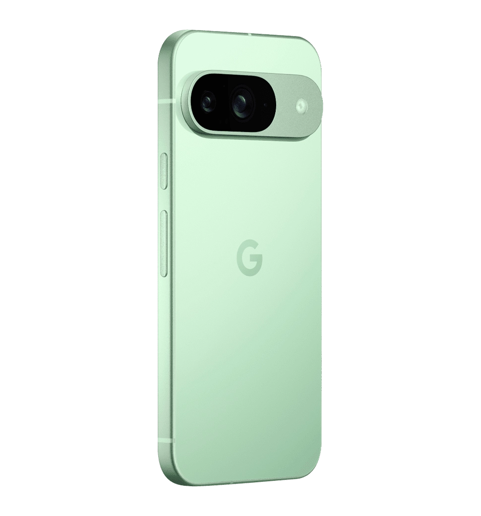 Смартфон Google Pixel 9 12/256GB Wintergreen