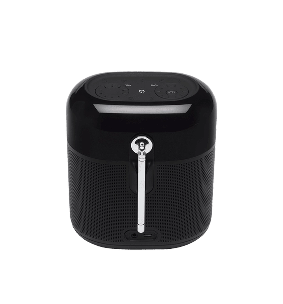 Акустика JBL Tuner XL Black (JBLTUNERXLBLKEU)