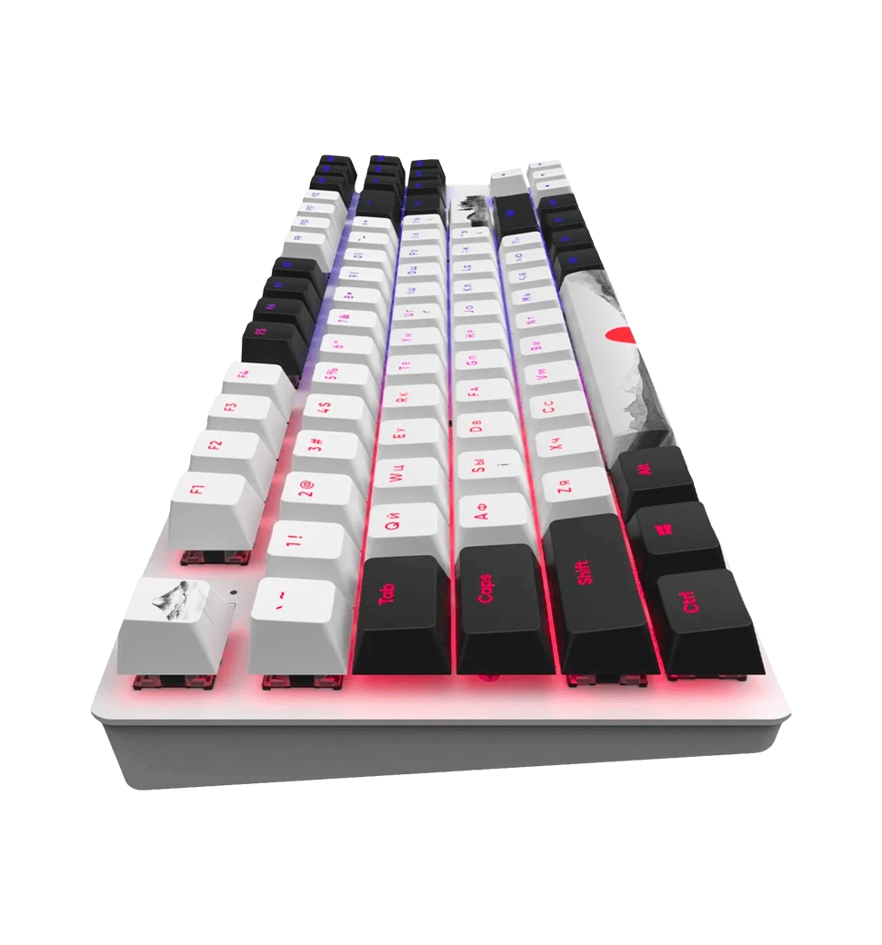 Игровая клавиатура DARK PROJECT One - 87 Fuji - ANSI ENG/UA (DPO87_GSH_Fuji_ANSI_UA)