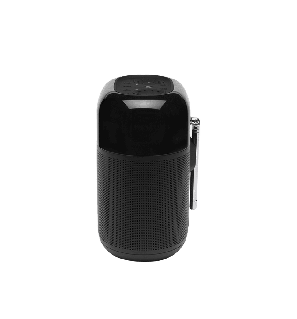 Акустика JBL Tuner XL Black (JBLTUNERXLBLKEU)
