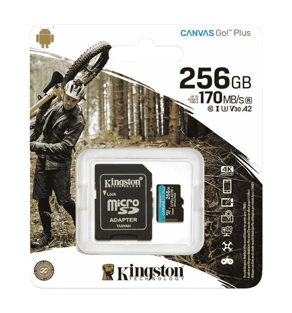 Карта памяти Kingston Canvas Go Plus 256Gb 10 A2 V30 (R170MB/s, W90MB/s)