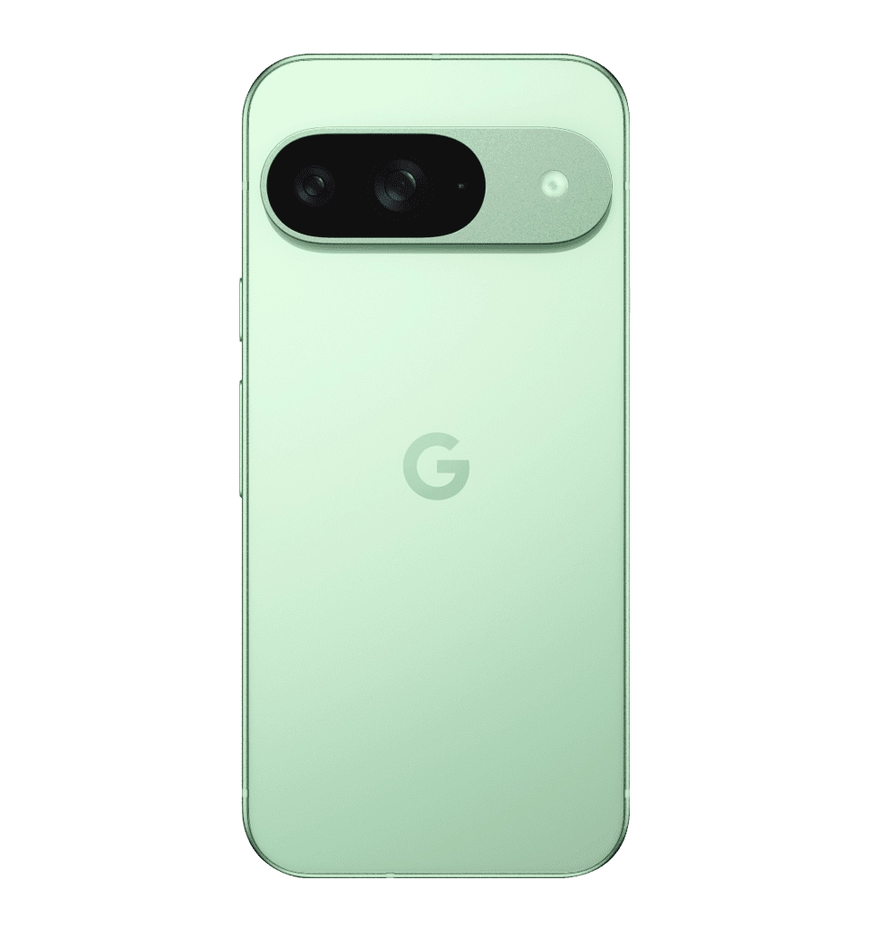 Смартфон Google Pixel 9 12/256GB Wintergreen
