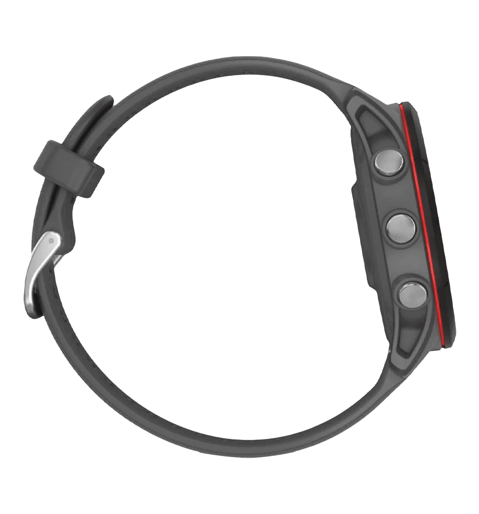 Garmin Forerunner 255 Slate Gray (010-02641-00/10/43)