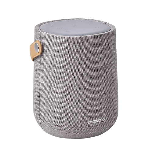 Акустика Harman-Kardon Citation 200 Gray (HKCITATION200GRYEU)
