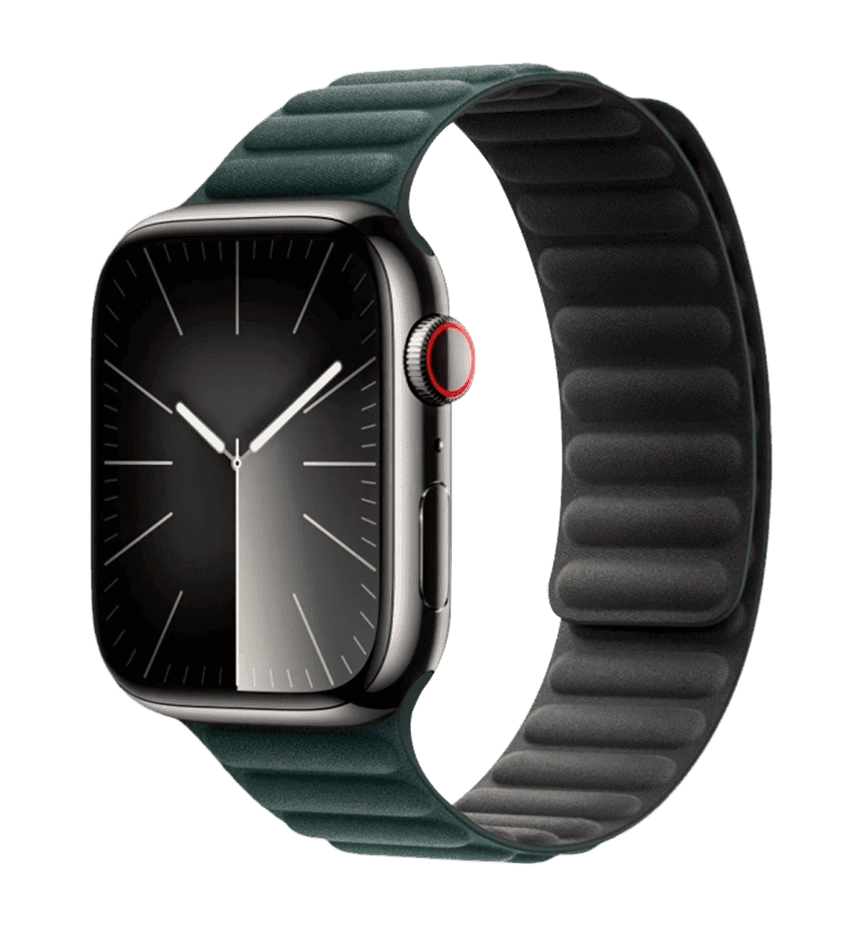 Ремешок Wiwu для Apple Watch 42/44/45/49mm Magnetic Loop Watch Band Evergreen
