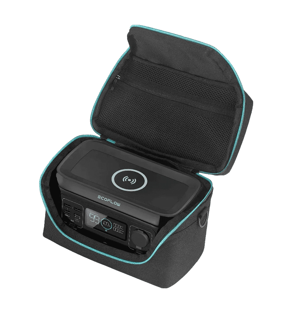 Сумка EcoFlow RIVER mini Bag (BRIVERmini)