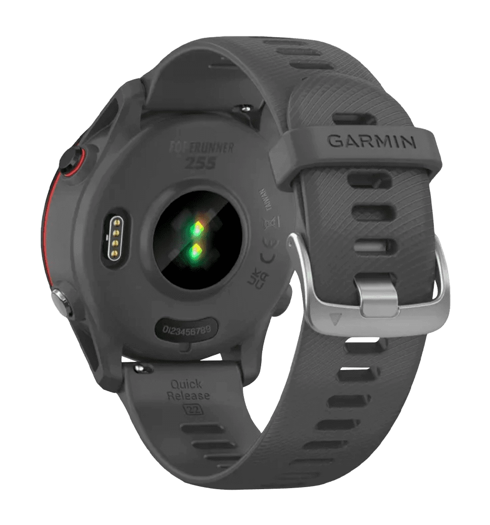 Garmin Forerunner 255 Slate Gray (010-02641-00/10/43)