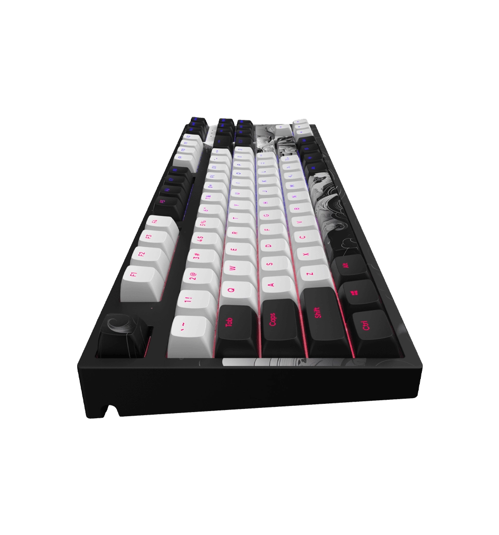 Игровая клавиатура DARK PROJECT 87 Ink - RGB ANSI ENG (DPP87_GSH_INK_ANSI_EN)