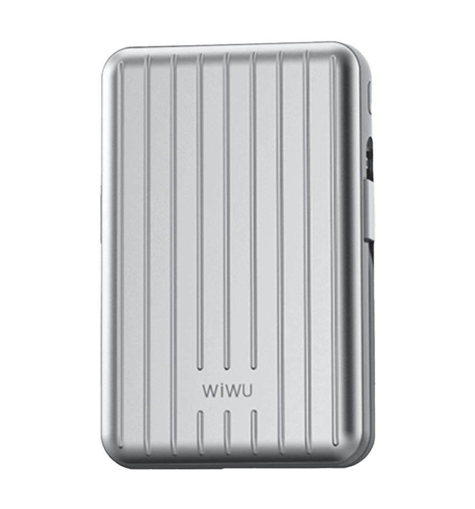 Зовнішній акумулятор Wiwu Trunk Series 10000mAh, 22,5w (PP03) Silver