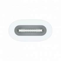 Адаптер USB-C to Apple Pencil (MQLU3)