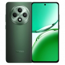 Смартфон OPPO Reno12 FS 12/512GB (black green)