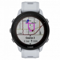 Спортивний годинник Garmin Forerunner 955 Solar Whitestone (010-02638-01/21)