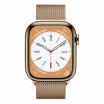Ремінець Wiwu для Apple Watch 42/44/45/49mm Milanese Stainless Steel watch band Gold