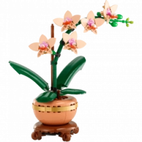 Конструктор LEGO Botanicals Мини орхидея