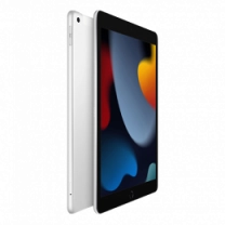 iPad 10.2 (2021) Wi-Fi + LTE 256GB Silver (MK4H3)