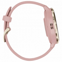 Garmin Venu 3S Soft Gold S. Steel Bezel w. Dust Rose Case and S. Band (010-02785-03)