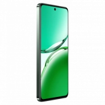 Смартфон OPPO Reno12 FS 12/512GB (black green)