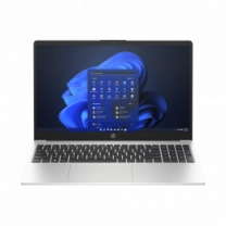 Ноутбук 15.6" HP 250 G10 AG (8D4L3ES)/Intel i3-1315U/8GB/256GB SSD/IntelUHD/DOS/Grey