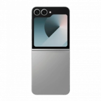 Смартфон Samsung Galaxy Flip6 256Gb Silver Shadow (SM-F741BZSGSEK)