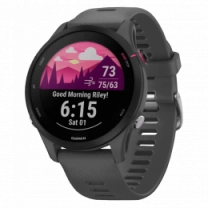 Garmin Forerunner 255 Slate Gray (010-02641-00/10/43)