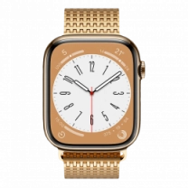 Ремінець Wiwu для Apple Watch 42/44/45/49mm Domino band Gold