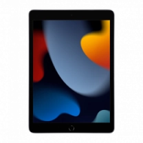 iPad 10.2 (2021) Wi-Fi 256GB Space Gray (MK2N3)
