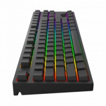 Игровая клавиатура DARK PROJECT Pro KD87A Gateron Optical 2.0 Red (DP-KD-87A-000210-GRD)