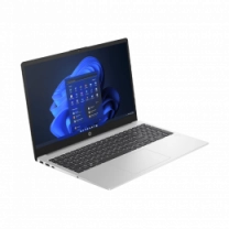 Ноутбук 15.6" HP 250 G10 AG (8D4L3ES)/Intel i3-1315U/8GB/256GB SSD/IntelUHD/DOS/Grey