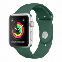 Ремешок Silicone Copy 42mm Pine Green