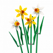 Конструктор LEGO Icons Botanicals Нарциси