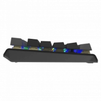 Клавіатура ігрова механічна A4-Tech FS100 (Stone Black), USB, чорна