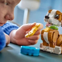 Конструктор LEGO Creator Чудесные животные: игривый щенок