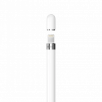 Стилус Apple Pencil с USB-C на Apple Pencil Adapter (MQLY3)
