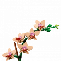 Конструктор LEGO Botanicals Мини орхидея