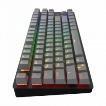 Игровая клавиатура DARK PROJECT One KD87A Gateron Mechanical Red ENG/RU/UA (DPO-KD-87A-000300-GRD)