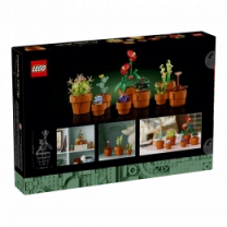 Конструктор LEGO Icons Botanicals Маленькие цветы