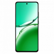 Смартфон OPPO Reno12 FS 12/512GB (black green)
